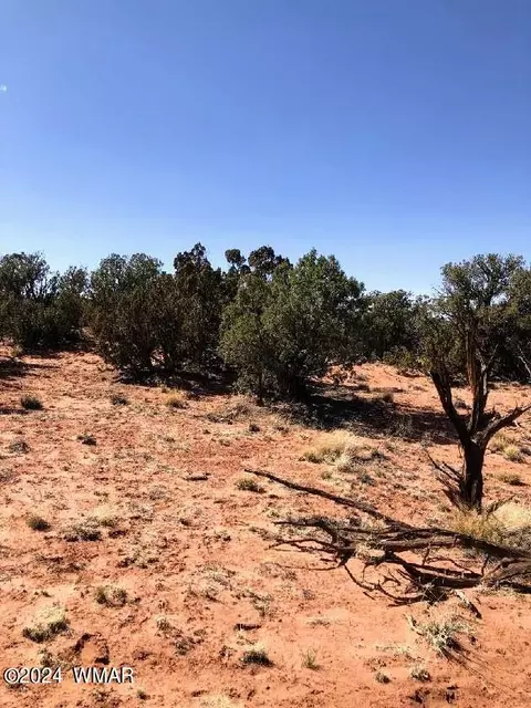 Tbd N9027, Concho, AZ 85924 photo 3