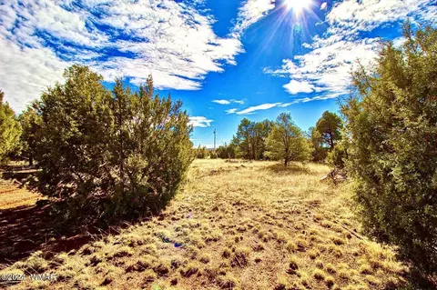 4817 Sawmill Rd, Show Low, AZ 85901