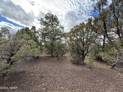 Tbd N3026, Vernon, AZ 85940