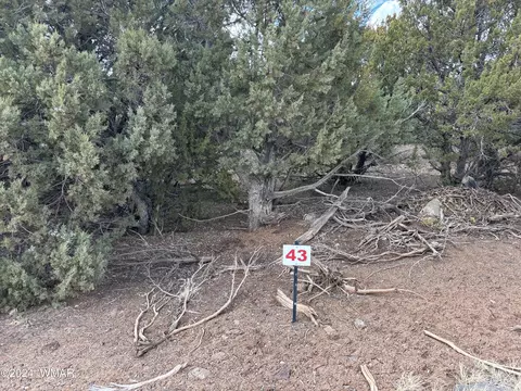 Tbd N3026, Vernon, AZ 85940
