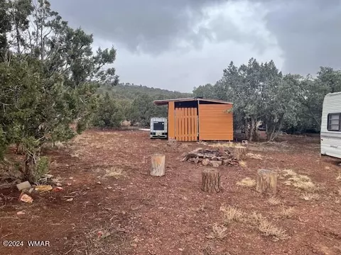 62 Co Rd, Concho, AZ 85924 photo 3