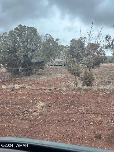 62 Co Rd, Concho, AZ 85924 photo 6