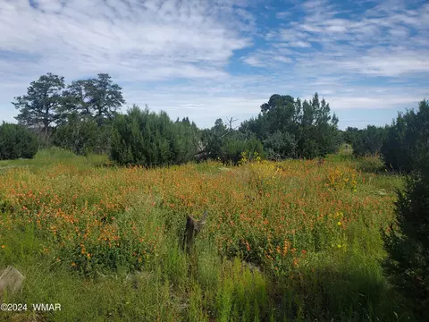 26 County Rd 8405, Vernon, AZ 85940