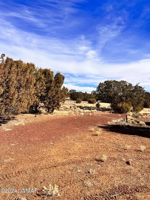 145 Cedar Rd, Concho, AZ 85924