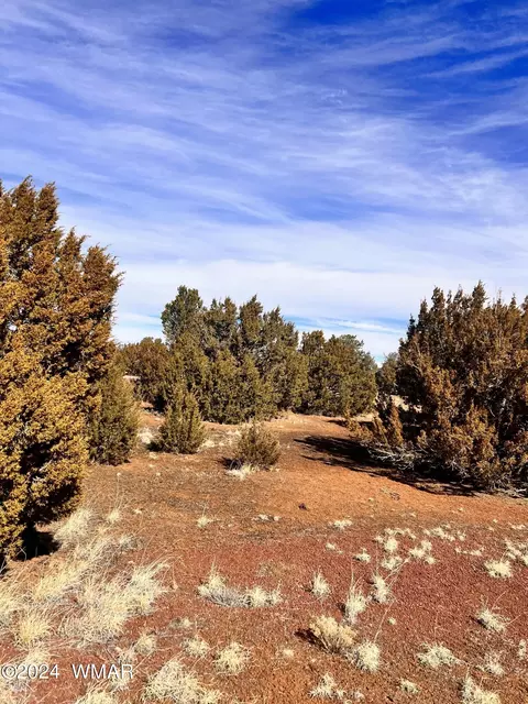 145 Cedar Rd, Concho, AZ 85924 photo 5