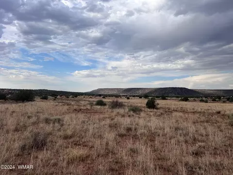 3885 Coronado Rd, Snowflake, AZ 85937 photo 7