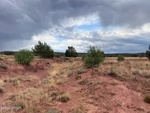 3885 Coronado Rd, Snowflake, AZ 85937 photo 31