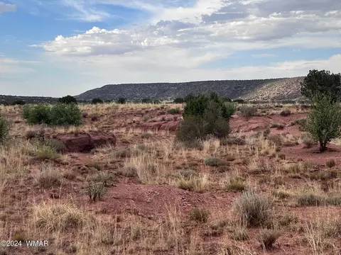 3885 Coronado Rd, Snowflake, AZ 85937 photo 26
