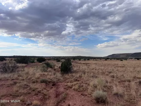 3885 Coronado Rd, Snowflake, AZ 85937 photo 15