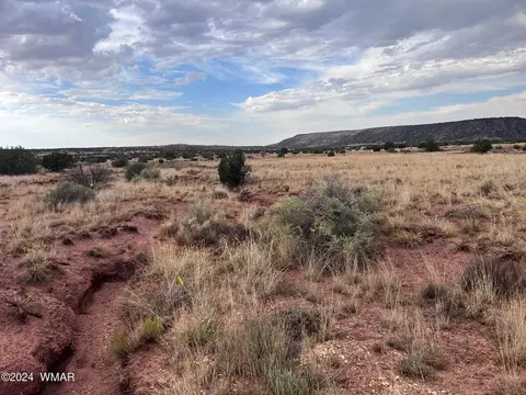 3885 Coronado Rd, Snowflake, AZ 85937 photo 11
