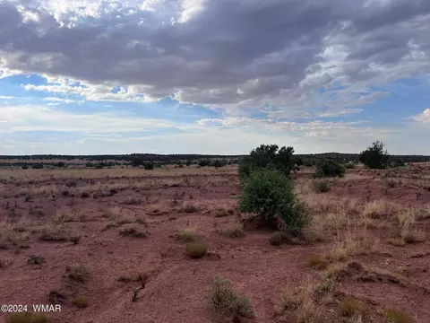 3885 Coronado Rd, Snowflake, AZ 85937 photo 24