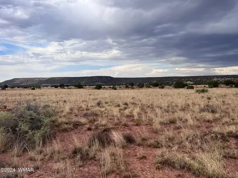 3885 Coronado Rd, Snowflake, AZ 85937 photo 12