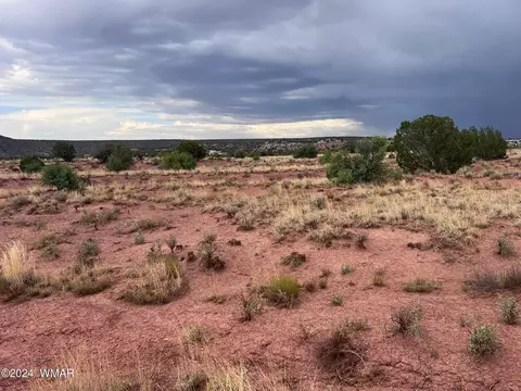 3885 Coronado Rd, Snowflake, AZ 85937 photo 20