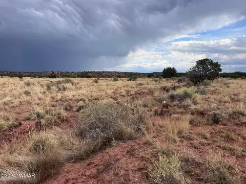 3885 Coronado Rd, Snowflake, AZ 85937 photo 9