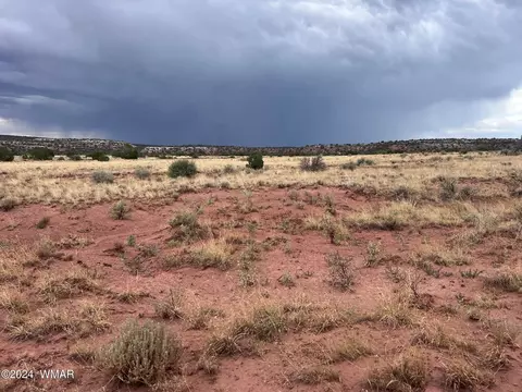 3885 Coronado Rd, Snowflake, AZ 85937 photo 3
