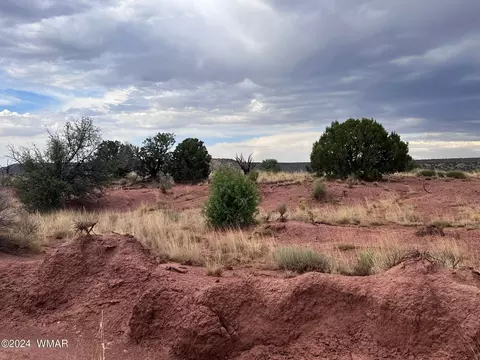 3885 Coronado Rd, Snowflake, AZ 85937 photo 30