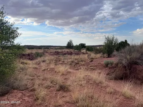 3885 Coronado Rd, Snowflake, AZ 85937 photo 29