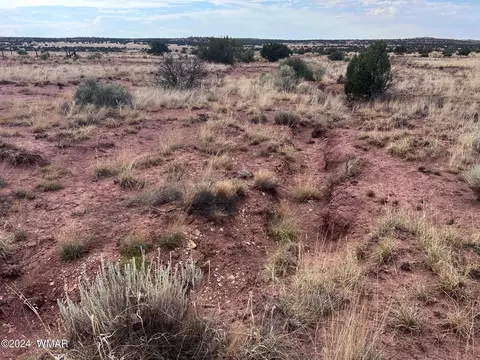3885 Coronado Rd, Snowflake, AZ 85937 photo 13