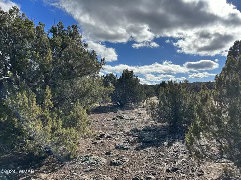 Tbd Cc Ranch Rd Parcel 304-23-015b, Show Low, AZ 85901