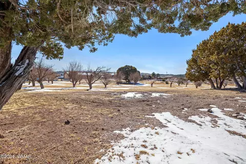 View/Area - 650 S School Bus Rd, Eagar, AZ 85925 photo 1 of 9