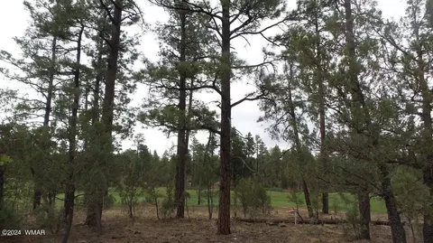 2980 Sage Ln, Show Low, AZ 85901