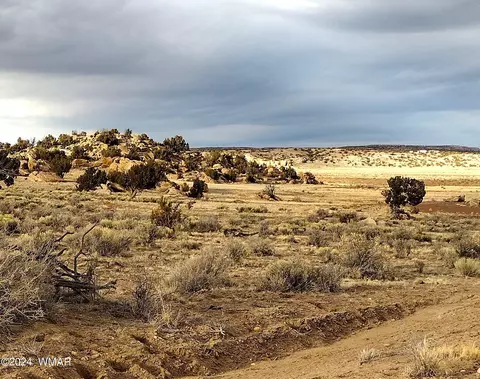 lot1093 Linzers Way-cr N6671 #9, Saint Johns, AZ 85936