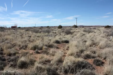 28 3rd Sundown Ln, Snowflake, AZ 85937 photo 11