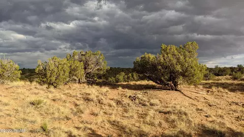 lot193 Woodland Valley Rnch, Saint Johns, AZ 85936