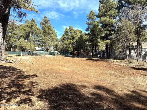 1031 N 33rd Cir, Show Low, AZ 85901