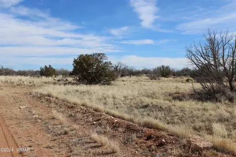 lot327 Chevelon Canyon Rnch, Heber, AZ 85928