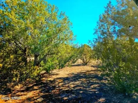 0 Christopher Trl, Show Low, AZ 85901 photo 3