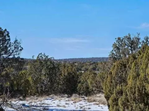 0 Christopher Trl, Show Low, AZ 85901 photo 21