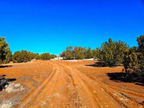 0 Christopher Trl, Show Low, AZ 85901 photo 19