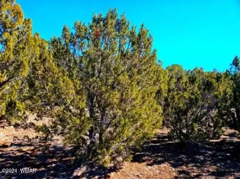 0 Christopher Trl, Show Low, AZ 85901 photo 7