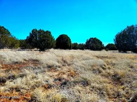 0 Christopher Trl, Show Low, AZ 85901 photo 10