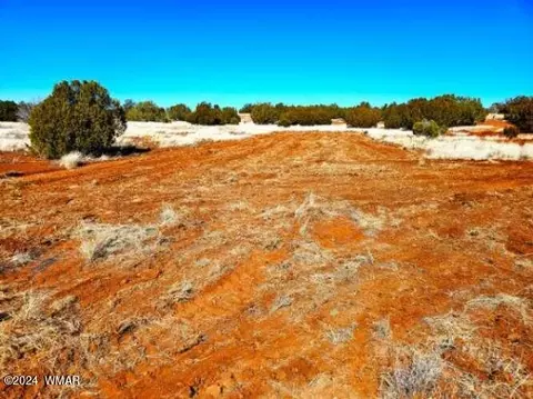 0 Christopher Trl, Show Low, AZ 85901 photo 8