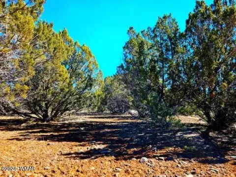 0 Christopher Trl, Show Low, AZ 85901 photo 4