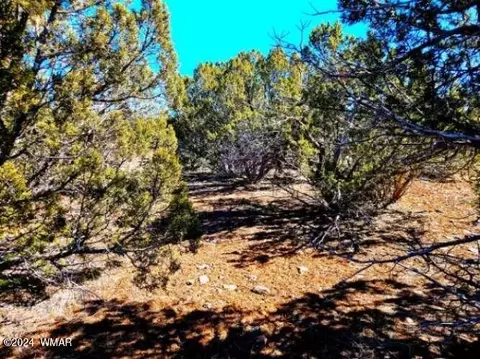 0 Christopher Trl, Show Low, AZ 85901 photo 6