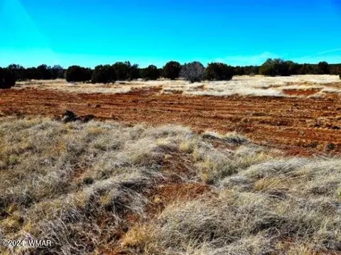 0 Christopher Trl, Show Low, AZ 85901 photo 9