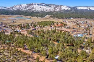 View/Area - 33 N 2058, Alpine, AZ 85920 photo 5 of 5