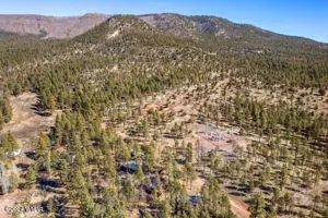 View/Area - 33 N 2058, Alpine, AZ 85920 photo 2 of 5