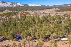 View/Area - 33 N 2058, Alpine, AZ 85920 photo 1 of 5
