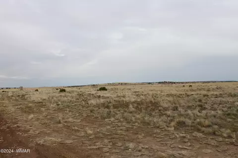 Tbd Parcel 107-53-146b, Concho, AZ 85924