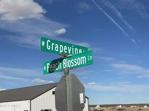 lot003 W C W Grapevine Ln, Snowflake, AZ 85937