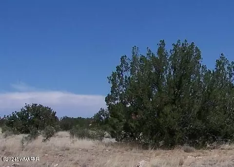Sec 25 T15n, Heber, AZ 85928