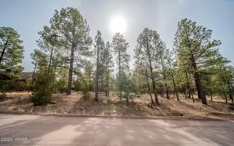 2273 Constellation Ln, Overgaard, AZ 85928