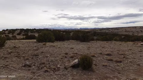 0 Concho Vly, Concho Valley, AZ 85924