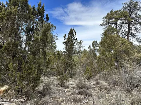 3365 Navajo Dr, Overgaard, AZ 85933