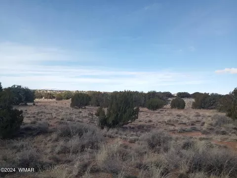 7664 Juniper Berry Trl, Snowflake, AZ 85937 photo 3