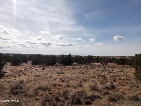 7664 Juniper Berry Trl, Snowflake, AZ 85937 photo 5